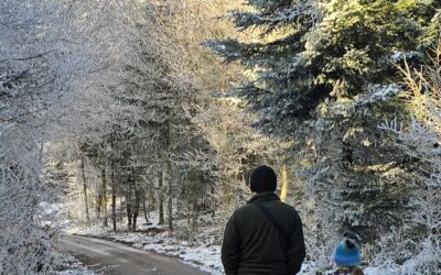 Sonntagsspaziergang mit…