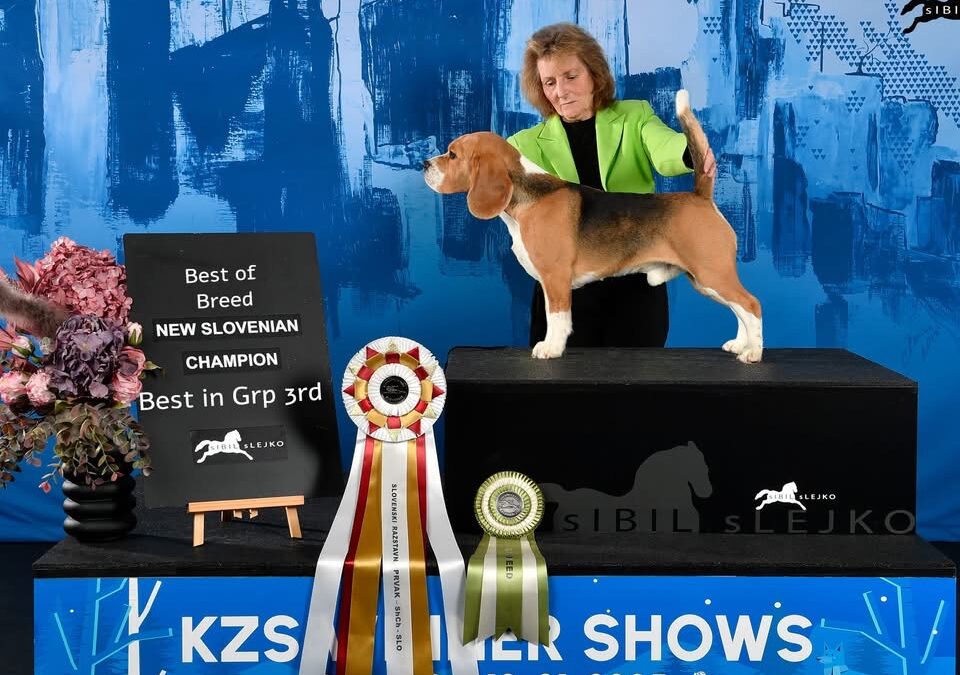 Ich habe meine Wahl getroffen…