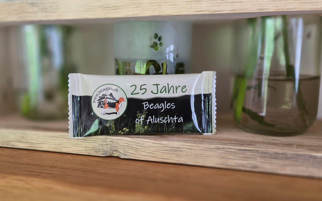 Ein gelungenes Fest!