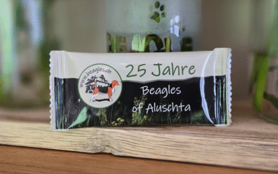Ein gelungenes Fest!