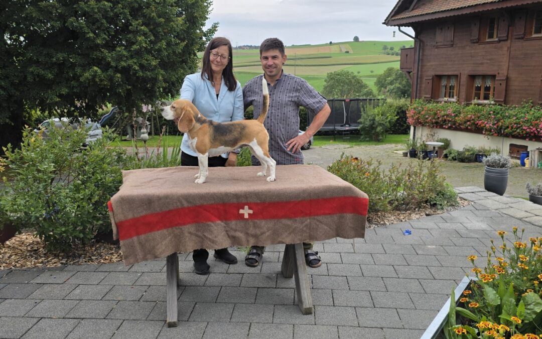 Dia unsere Miss Schweiz…