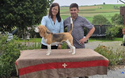 Dia unsere Miss Schweiz…