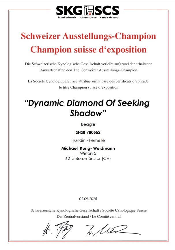 Ausstellungs Champion