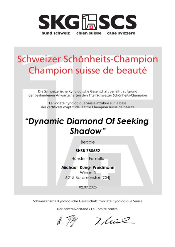 Schönheits Champion