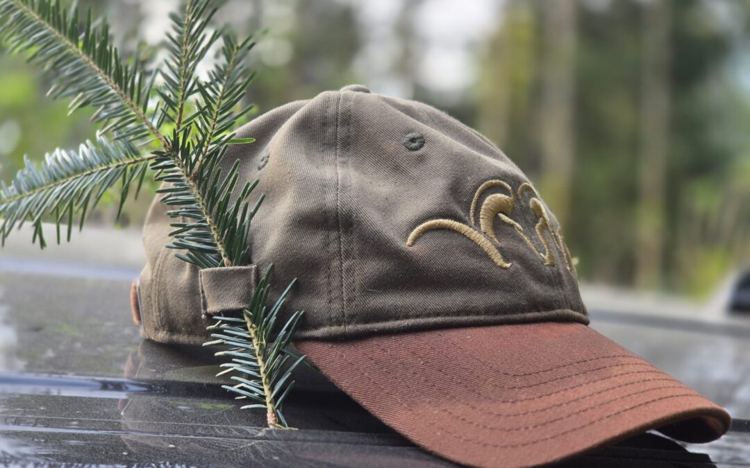 Suchenheil zur Prüfung