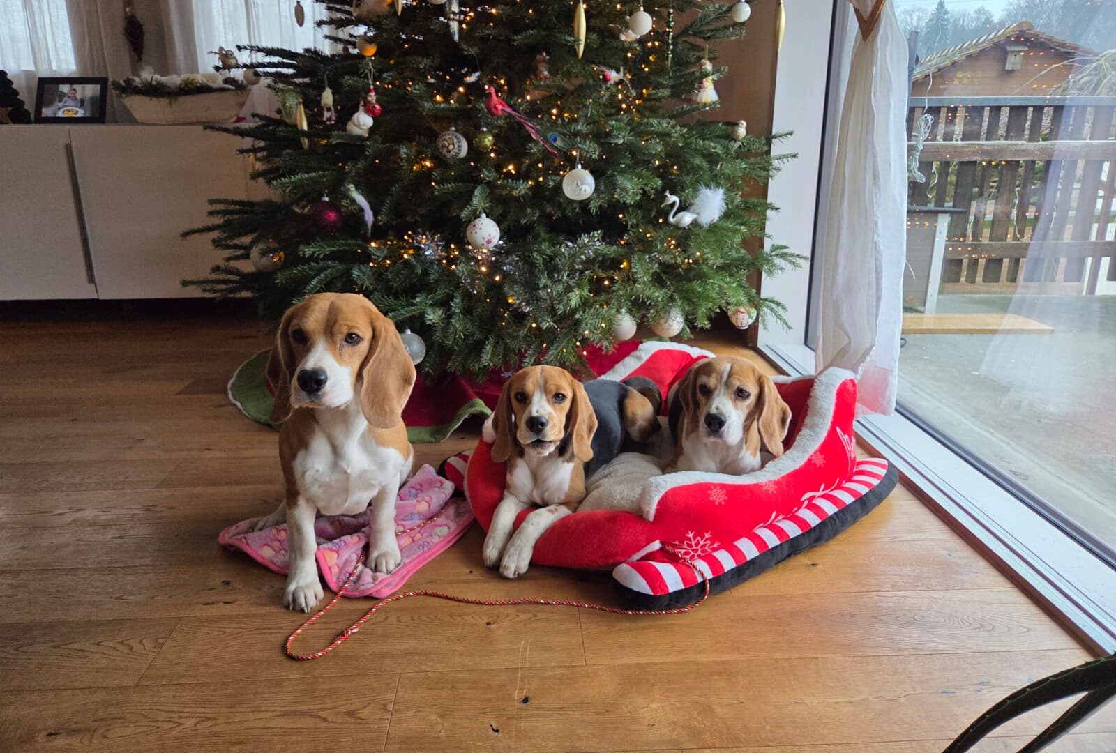 Frohe Weihnachten…