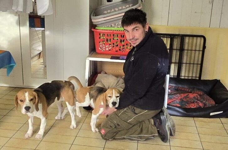 Frodo und Dia Paarung