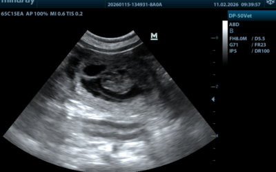 Arztbesuch am Schmittwoch