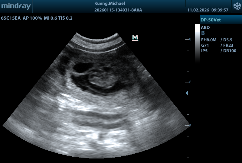Arztbesuch am Schmittwoch