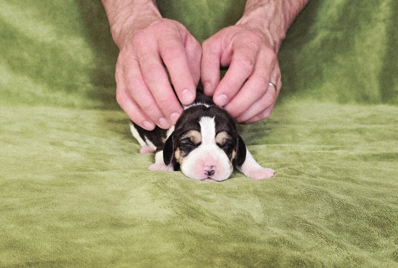 Hinter den Kulissen 1