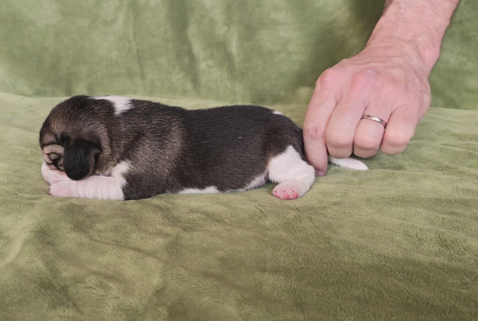 Hinter den Kulissen 3