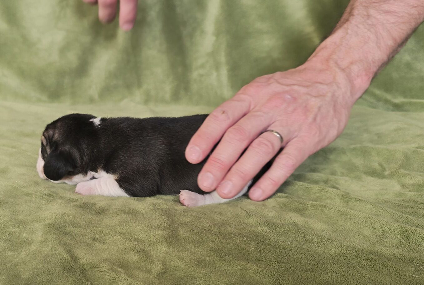 Hinter den Kulissen 4