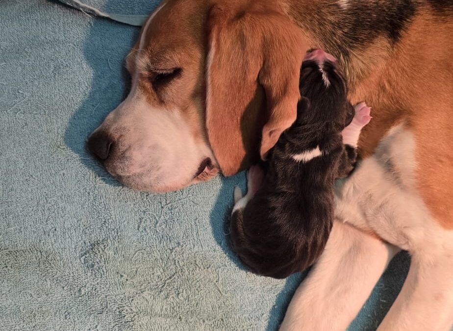 „Yes“ der Y2-Wurf ist da…