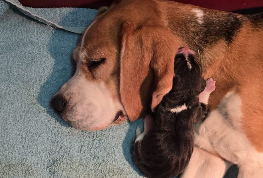 „Yes“ der Y2-Wurf ist da…