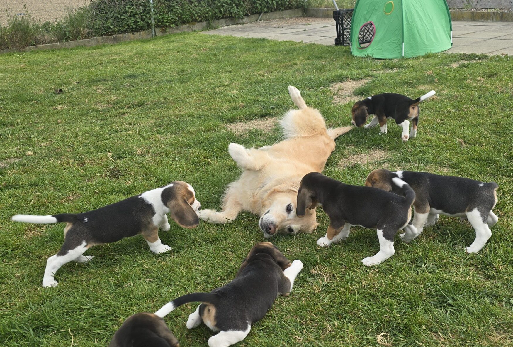 Stella zu besuch 1
