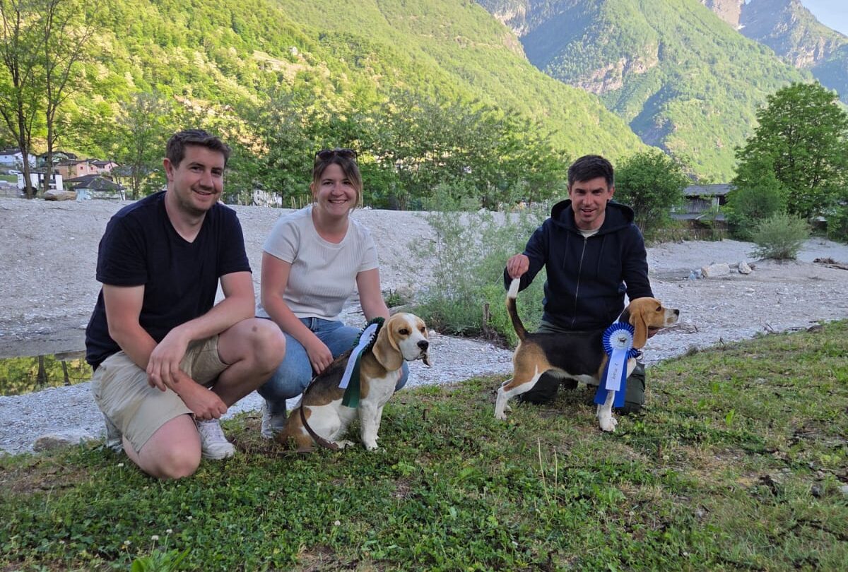 46. Clubsiegerschau des Beagle Club Schweiz