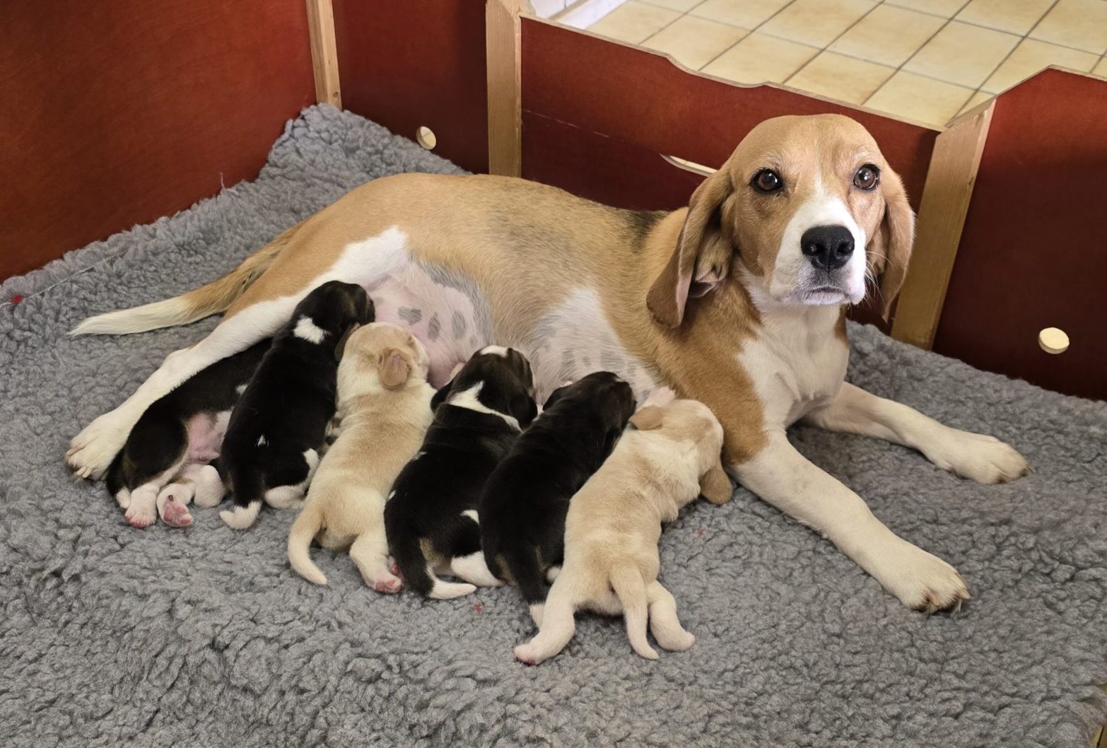Die neuen Einzelbilder sind da…